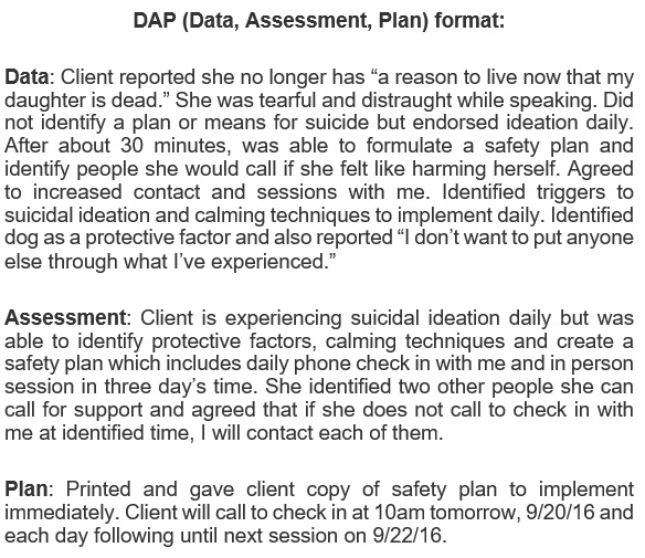 data assessment plan example