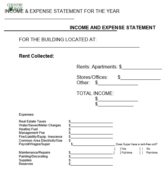 income and expense statement for the year