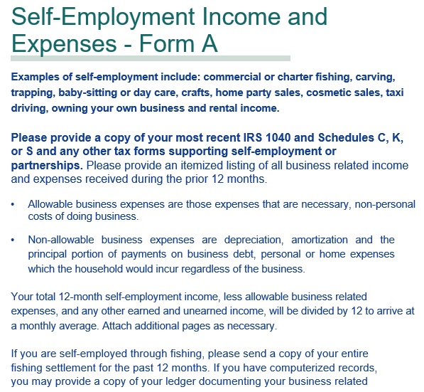 self employment income and expenses form
