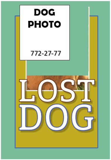 free lost pet flyer 1