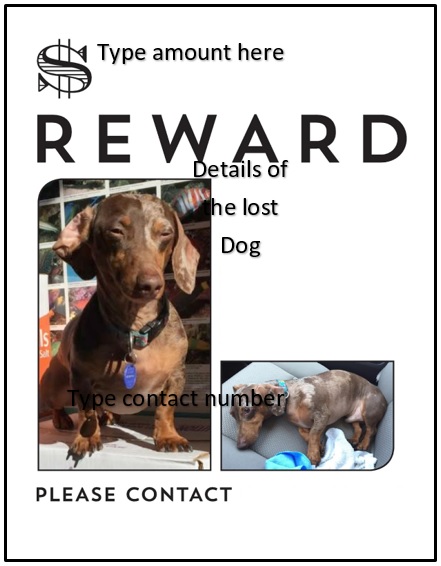 free lost pet flyer 3