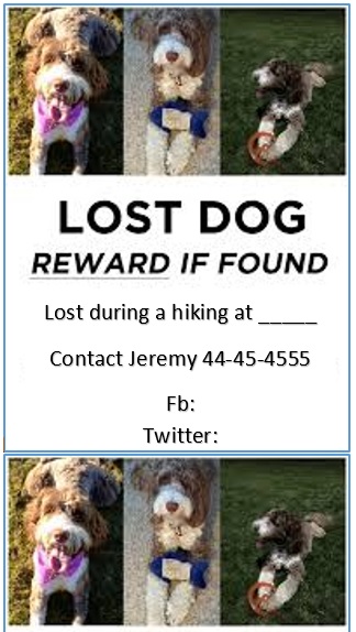 free lost pet flyer 4