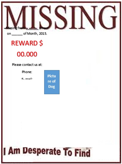 free lost pet flyer 6
