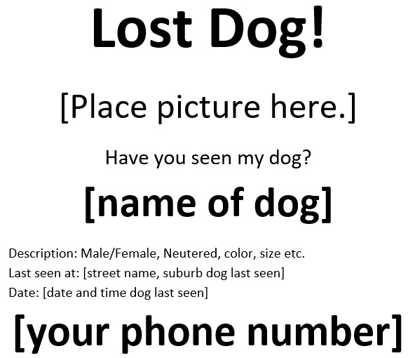 free lost pet flyer 9