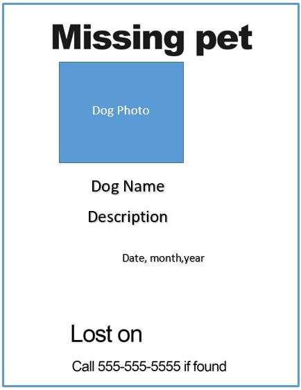 missing lost pet flyer