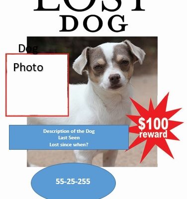 printable lost pet flyer