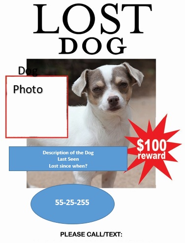 Free Lost Pet Flyers [Missing Dog / Cat Poster Templates] - Best Collections