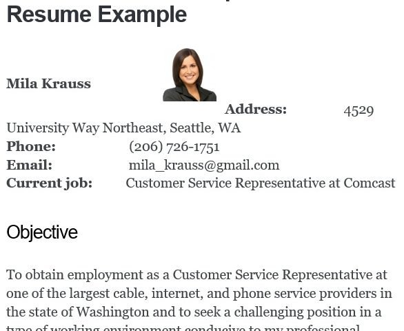 customer service representative resume example