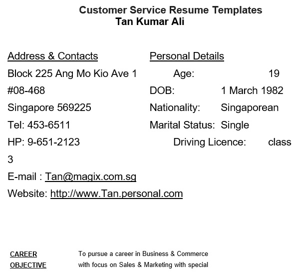customer service resume example
