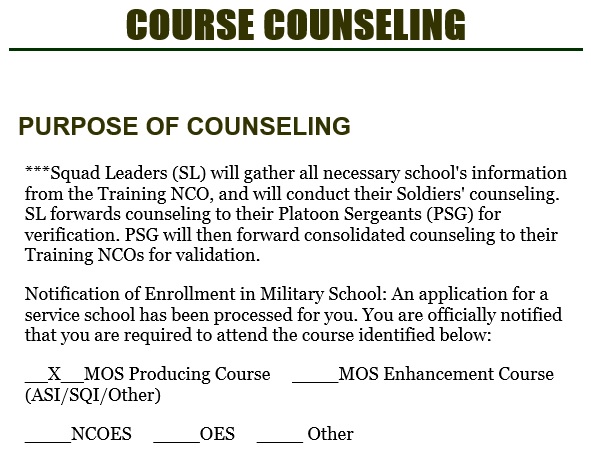 free army counseling form 6