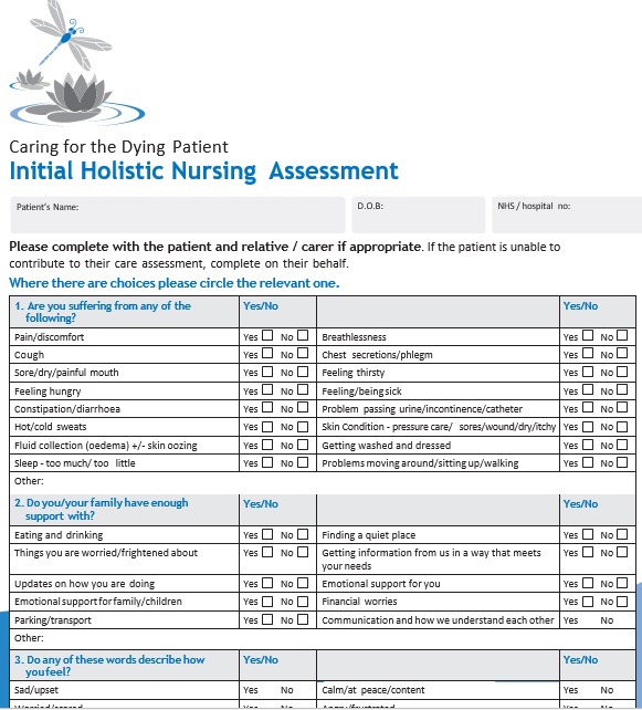 initial holistic nursing assessment form