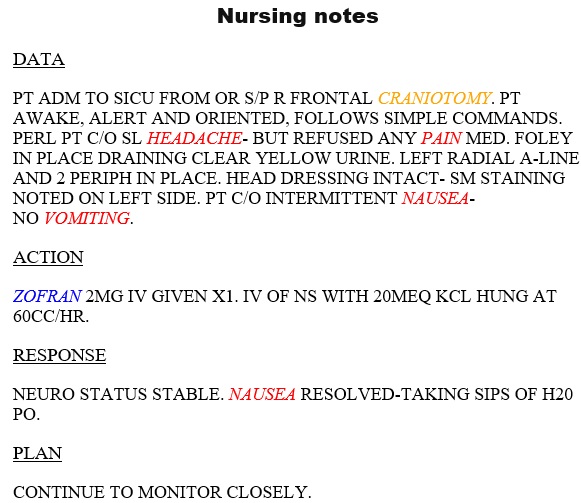 free nursing note template 7