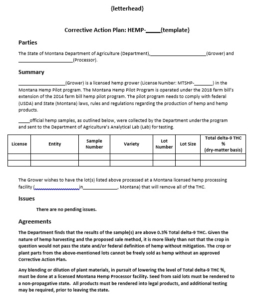 printable corrective action plan template 1