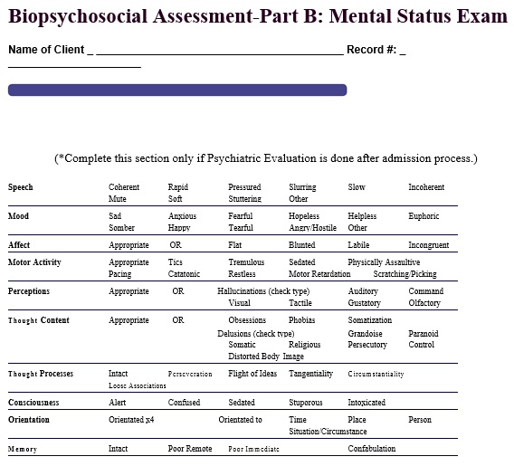 biopsychosocial assessment part b mental status examination