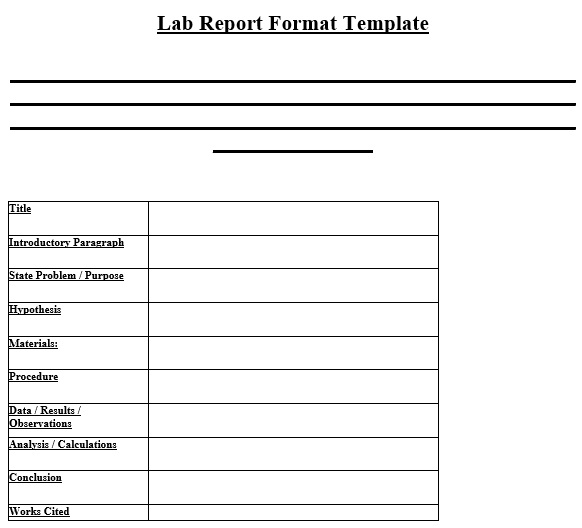 fillable lab report template