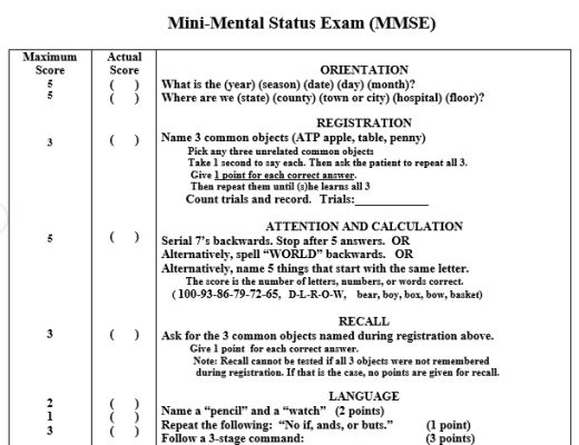 free mental status exam template 11