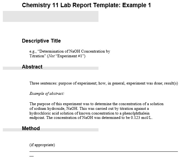 grade 11 chemistry lab report example