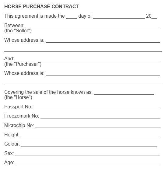 horse purchase contract