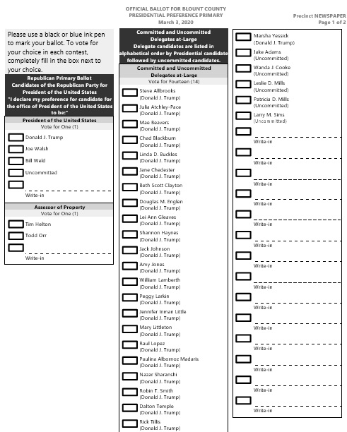 free ballot template