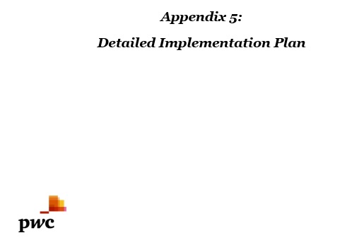 free implementation plan template 5