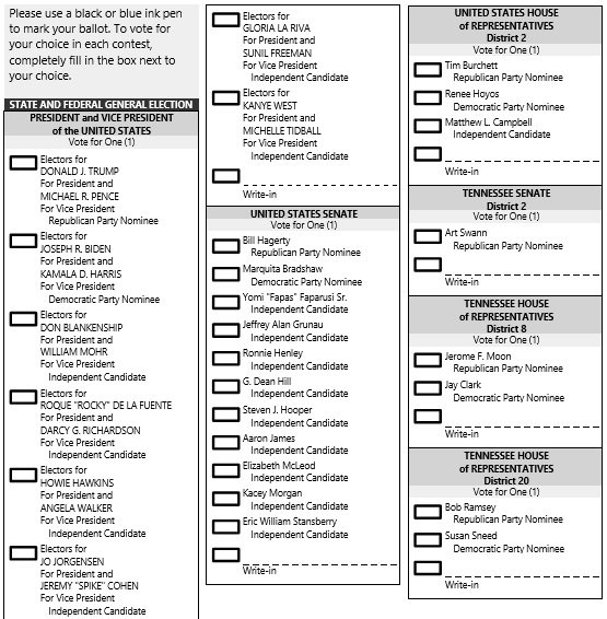 18 Free Election Ballot Templates Voting Forms Best Collections 18 Free Election Ballot Templates Voting Forms Best Collections