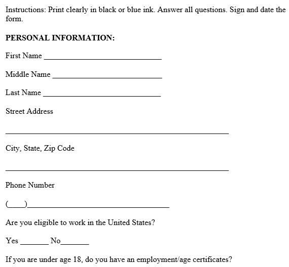 free employment application template 12