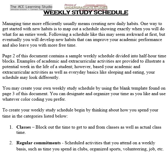 free hourly schedule template 7
