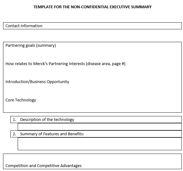 template for the non confidential executive summary