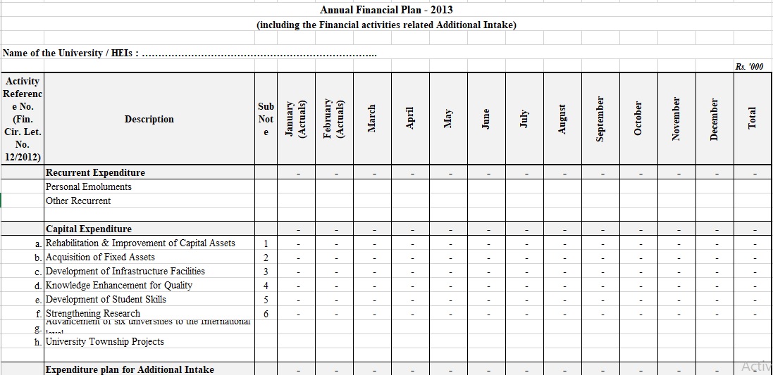 annual financial plan template