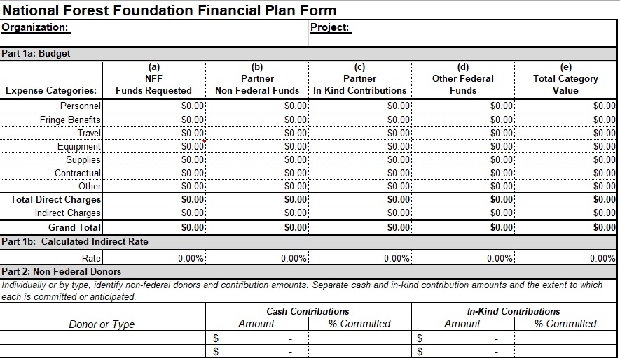national forest foundation financial plan form