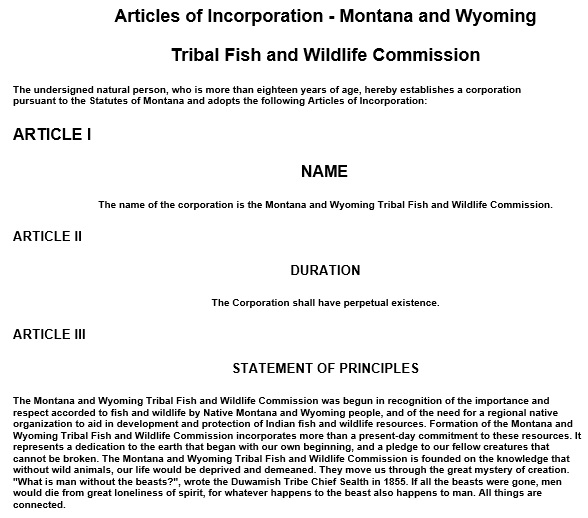 free articles of incorporation template 12