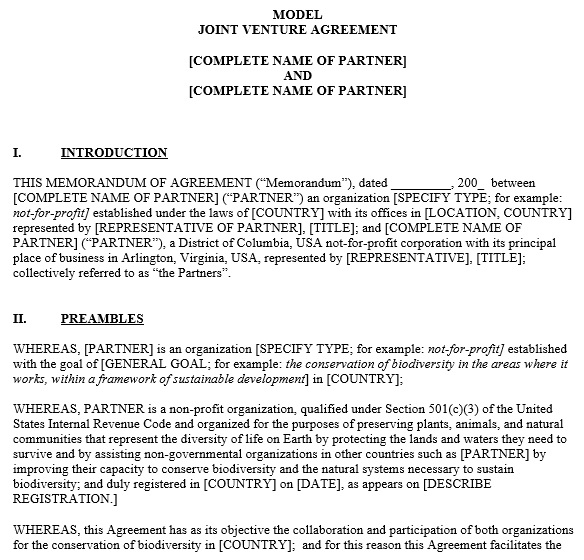 free joint venture agreement template 17
