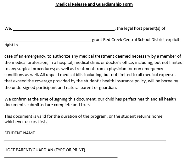 medical release and guardianship form