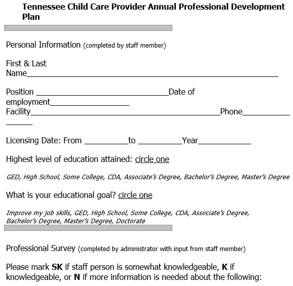tennessee child care provider annual professional development plan