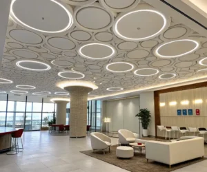 1765198392075 019af5c7 b18e 7c3c 88fe 68fe362dbcb7