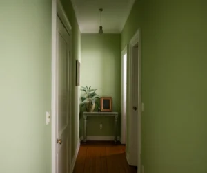 Soft Sage Green for a Calm Natural Touch